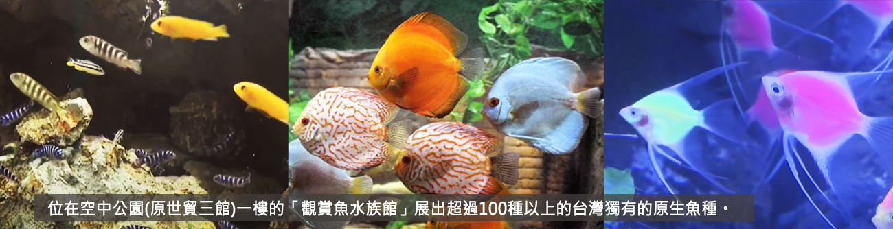 台北市建設