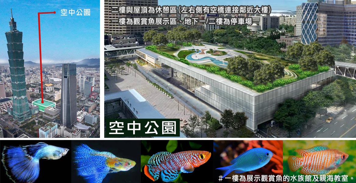 台北市建設