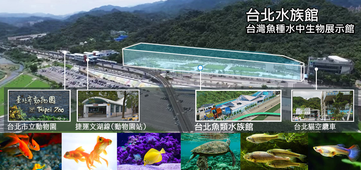 水族館 大蝸牛