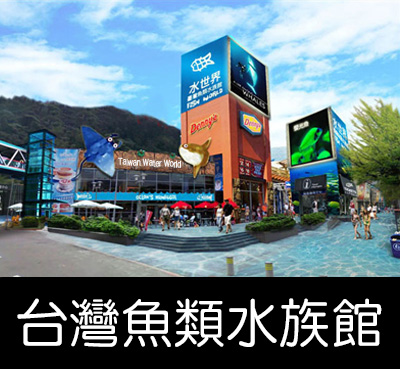 台北水族館 大蝸牛工作室